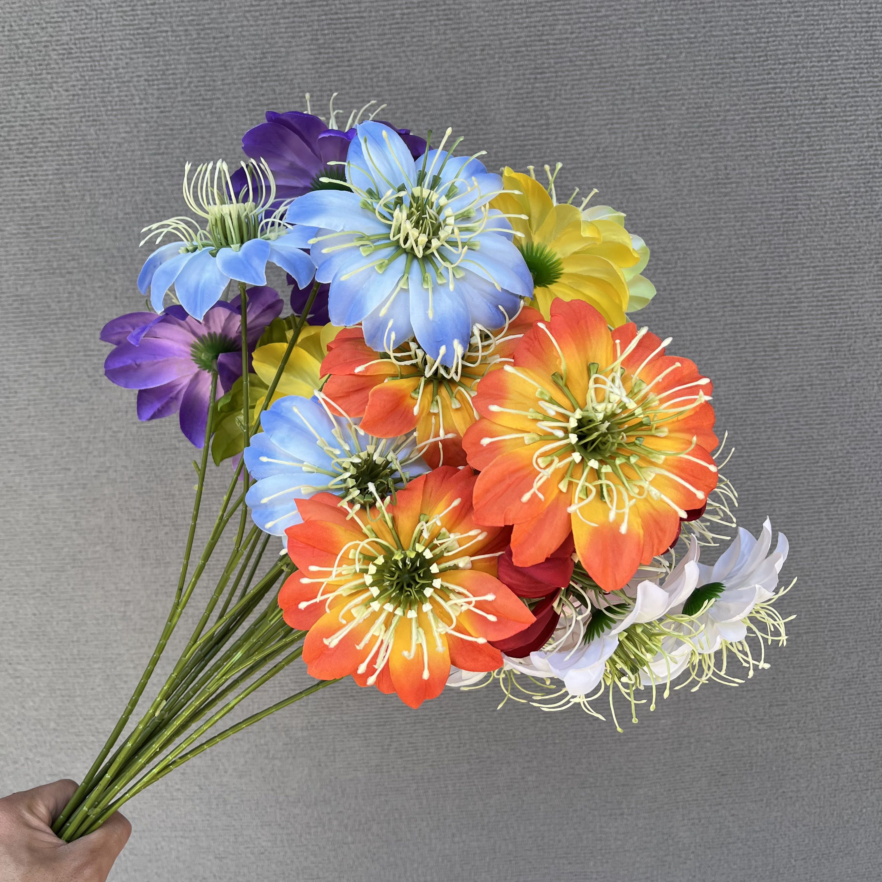 Fireworks Chrysanthemum